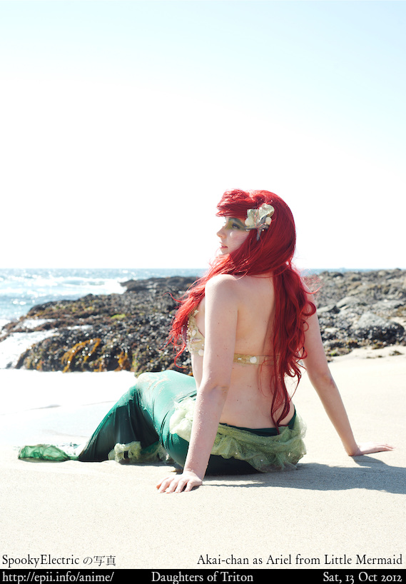  Picture: Little Mermaid - Ariel 4609