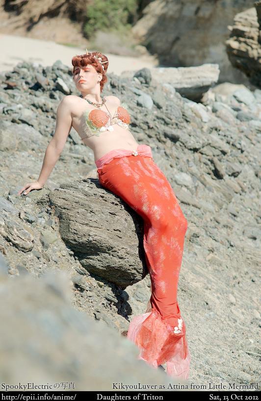  Picture: Little Mermaid - Attina 4495