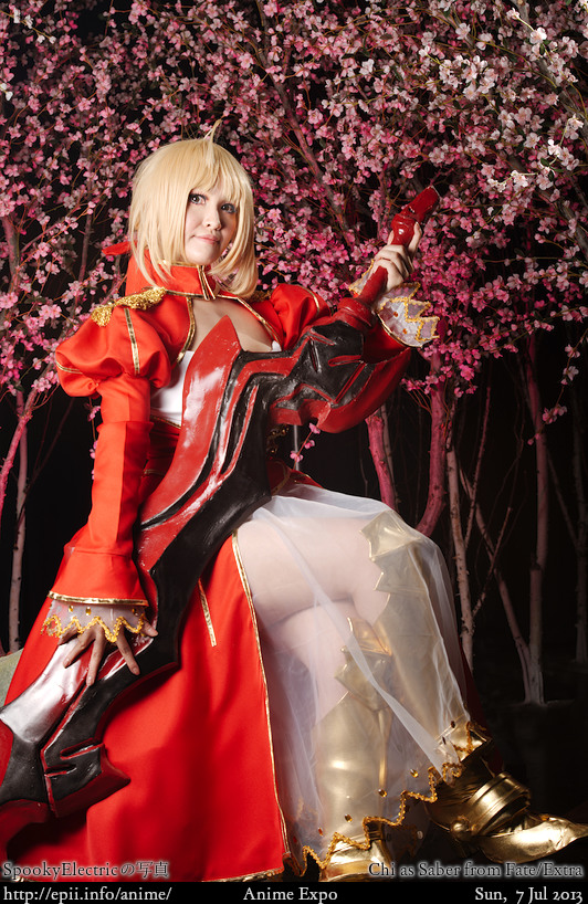 Cosplay  Picture: Fate Extra - Saber 8695