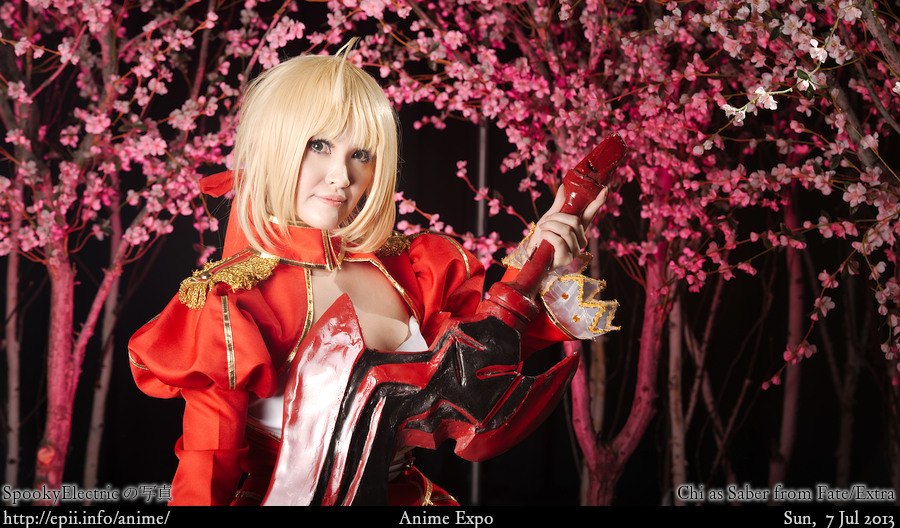 Cosplay  Picture: Fate Extra - Saber 8701
