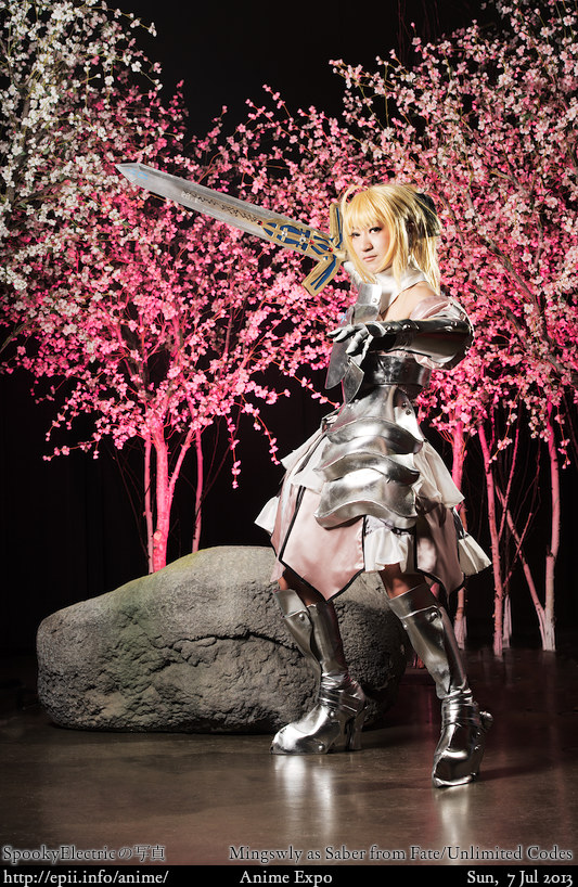 Cosplay  Picture: Fate Unlimited Codes - Saber 8719