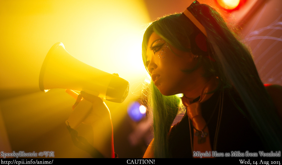 Cosplay  Picture: Vocaloid - Miku 9782