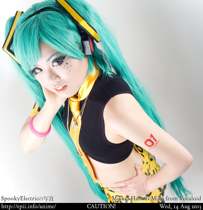 Cosplay  Picture: Vocaloid - Miku 9891