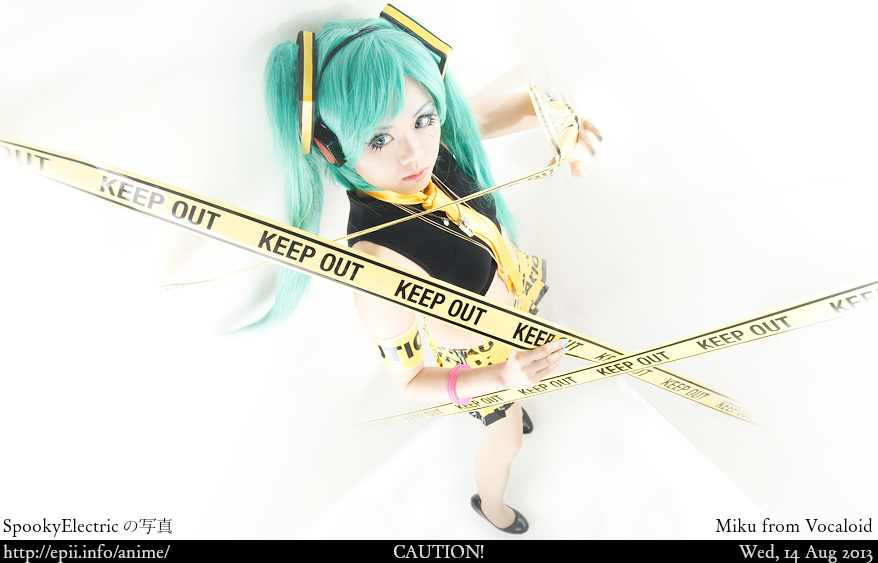 Cosplay  Picture: Vocaloid - Miku 9916
