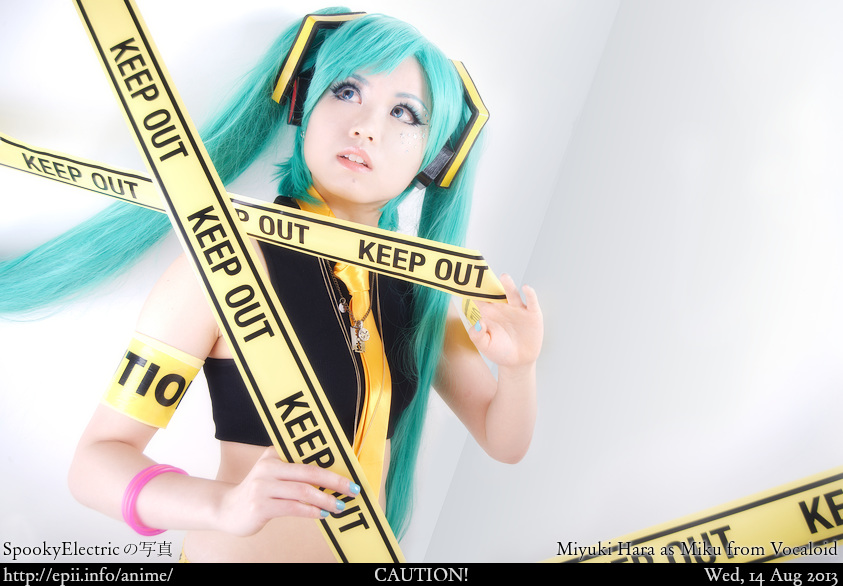Cosplay  Picture: Vocaloid - Miku 9923
