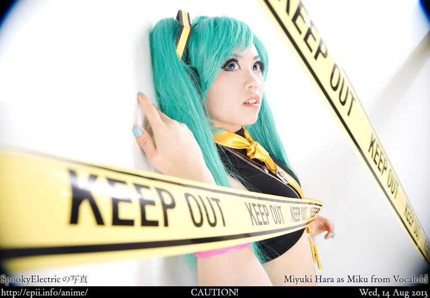 Cosplay  Picture: Vocaloid - Miku 9936