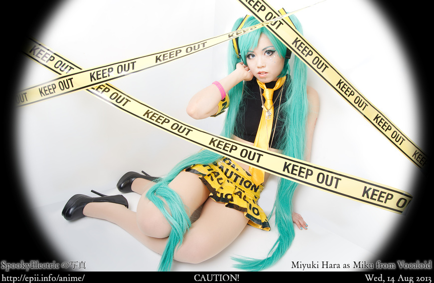 Cosplay  Picture: Vocaloid - Miku 9968