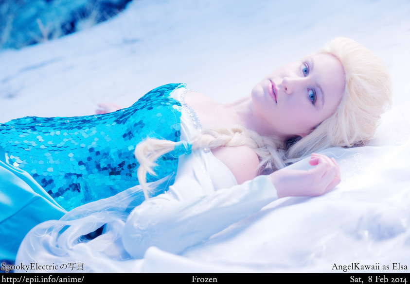 Cosplay  Picture: Frozen - Elsa 75293