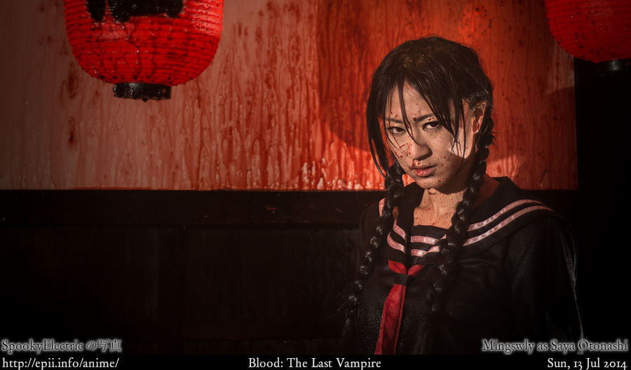 Cosplay  Picture: Blood - Saya 5753