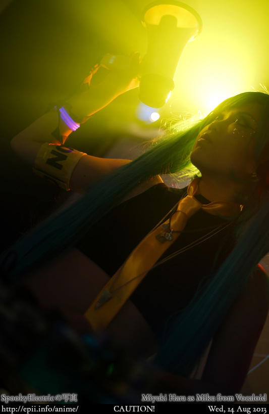 Cosplay  Picture: Vocaloid - Miku 9776